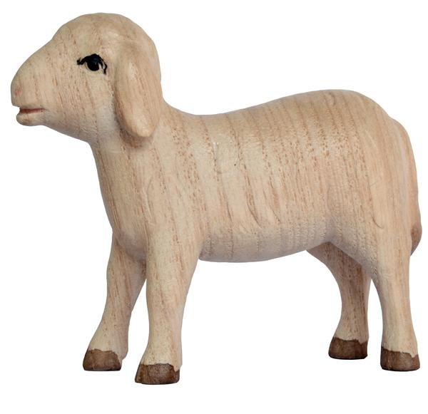 Schaf stehend Schaf stehend