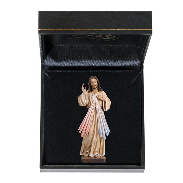 Jesus Barmherzigkeit mit Etui Jesus Barmherzigkeit mit Etui
