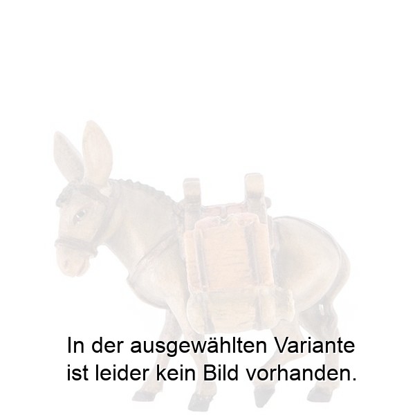 Esel beladen Esel beladen