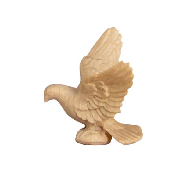 Taube rechts Taube rechts