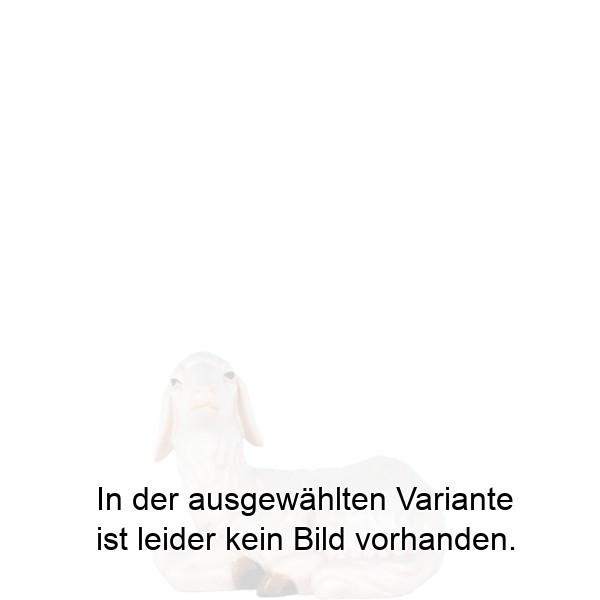 Schaf liegend Schaf liegend