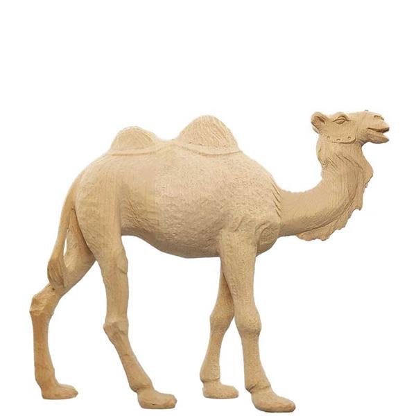 Kamel