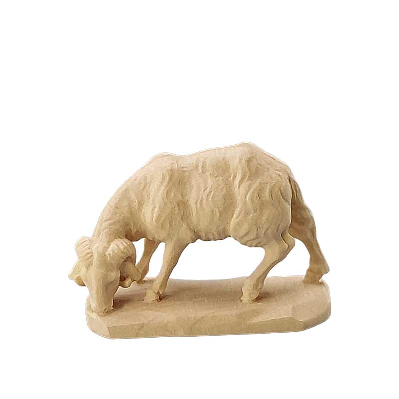 Schafbock Schafbock