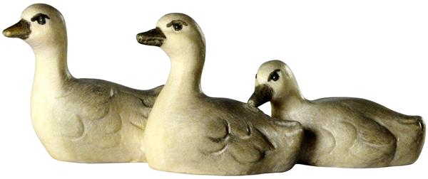 Schwanjungen 3-er Gruppe Schwanjungen 3-er Gruppe