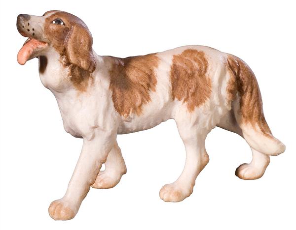 Hirtenhund