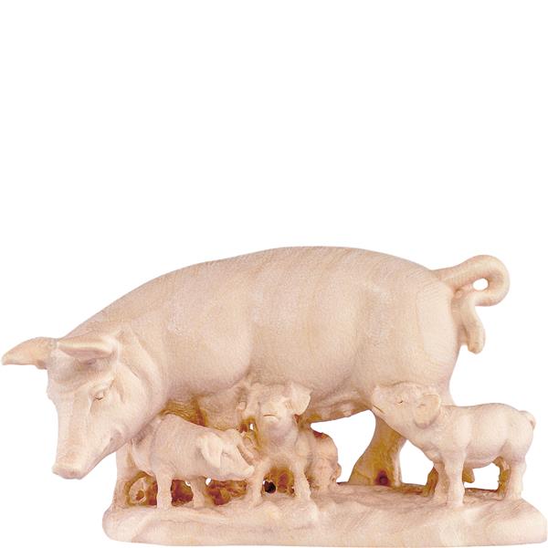 Schweinegruppe