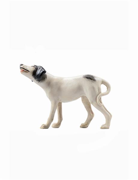 Hund Pointer