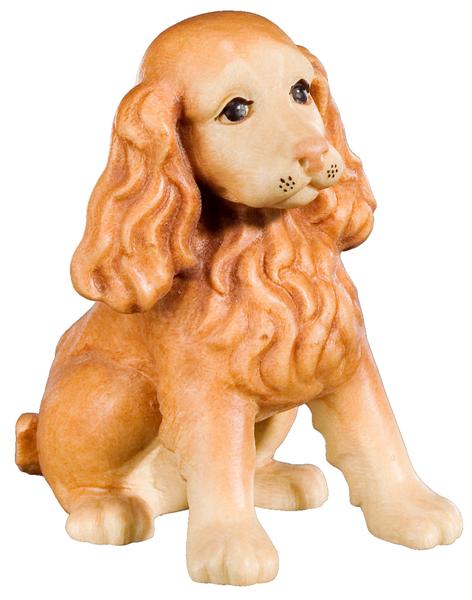 Cocker sitzend Cocker sitzend