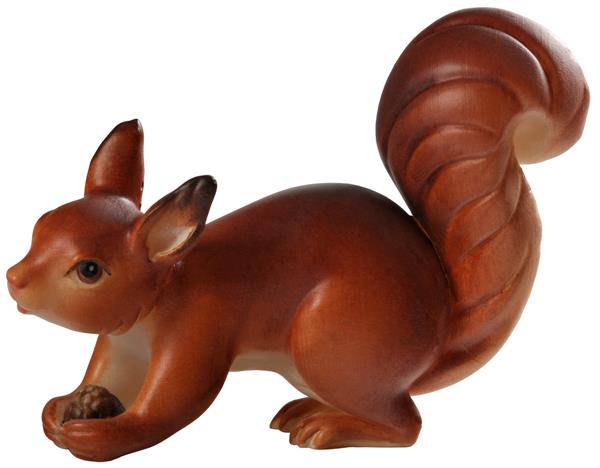 Eichhörnchen laufend rot-braun Eichhörnchen laufend rot-braun