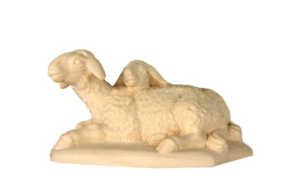 Schafpaar liegend Schafpaar liegend