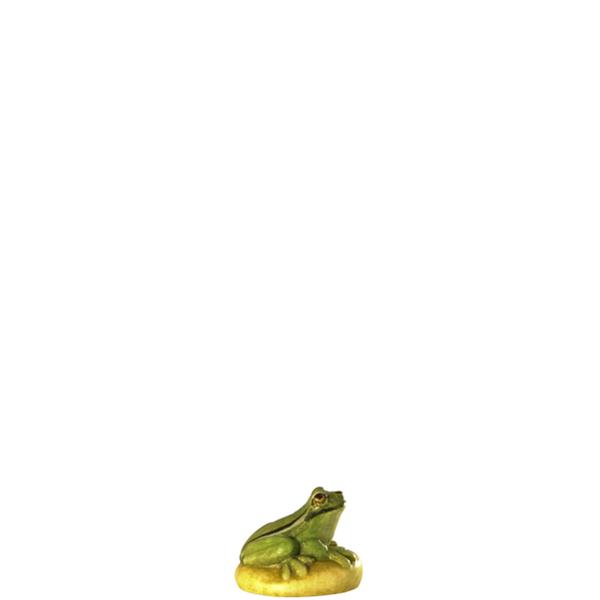 Laubfrosch Laubfrosch