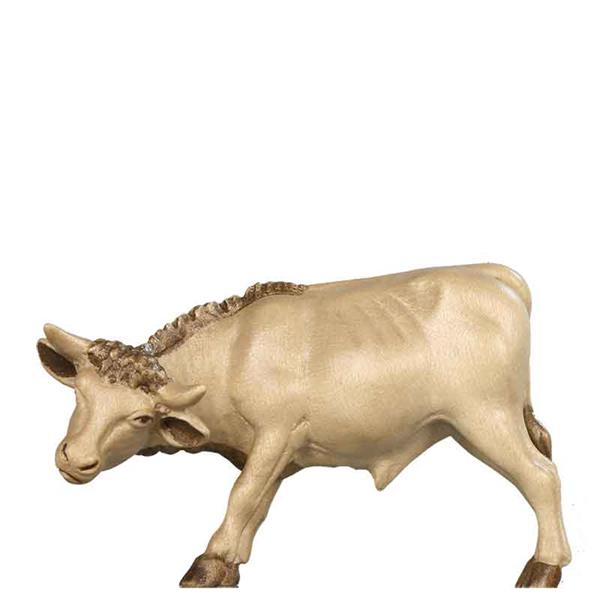 Ochs stehend Ochs stehend