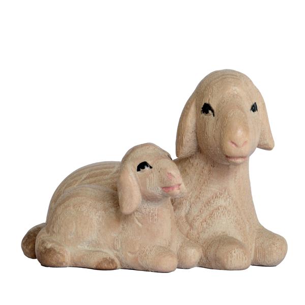 Schafgruppe liegend Schafgruppe liegend