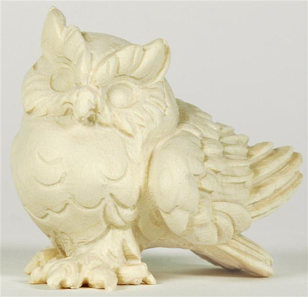 Zwergohreule Zwergohreule