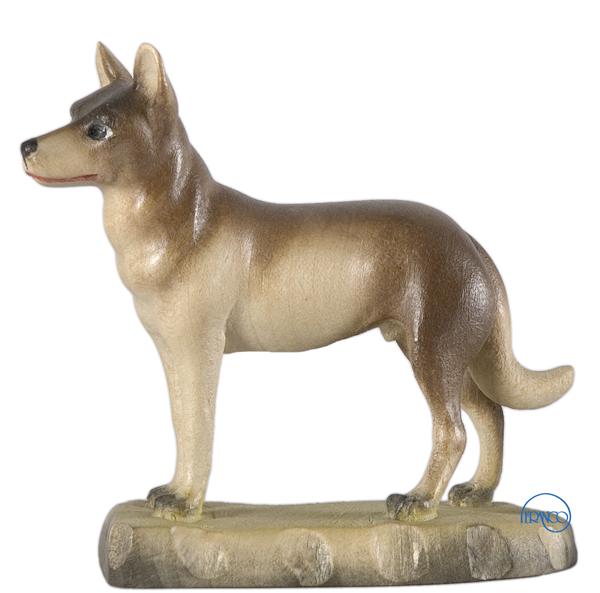 Hund Hund
