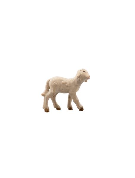 LI Lamm rechtsschauend