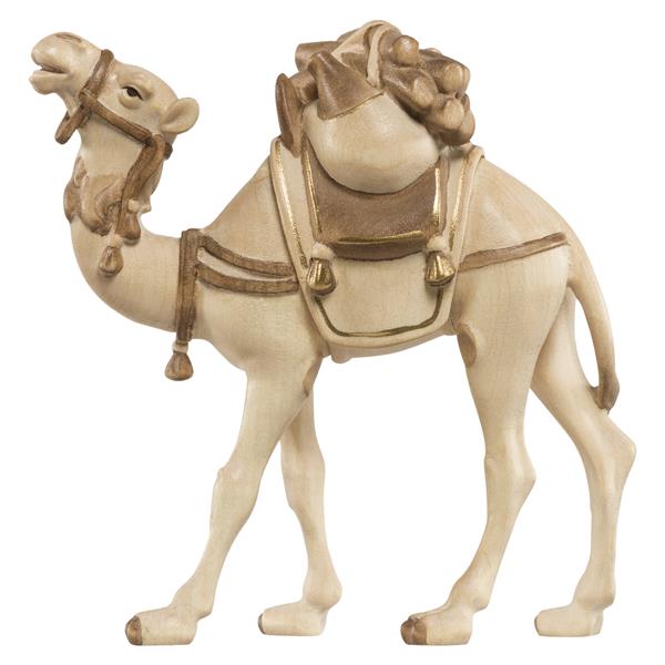Kamel mit Gepäck