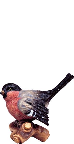 Vogel auf Ast rot Vogel auf Ast rot