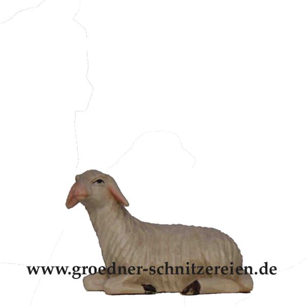 Schaf liegend