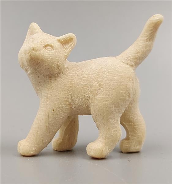 Kätzchen stehend rechts Kätzchen stehend rechts