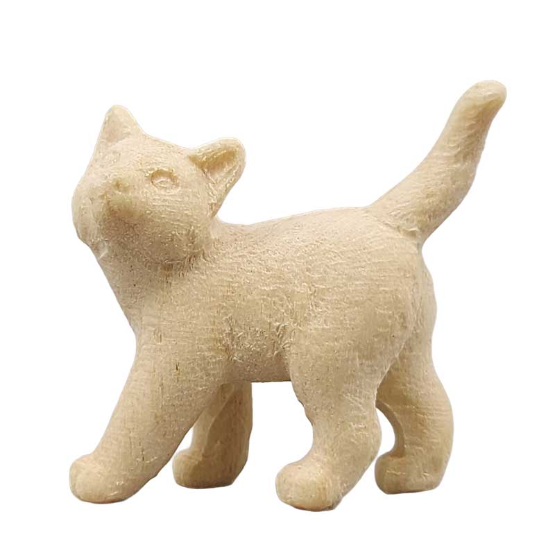 Kätzchen stehend rechts