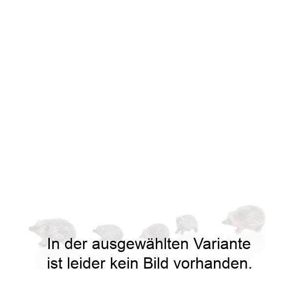 Igelfamilie Igelfamilie