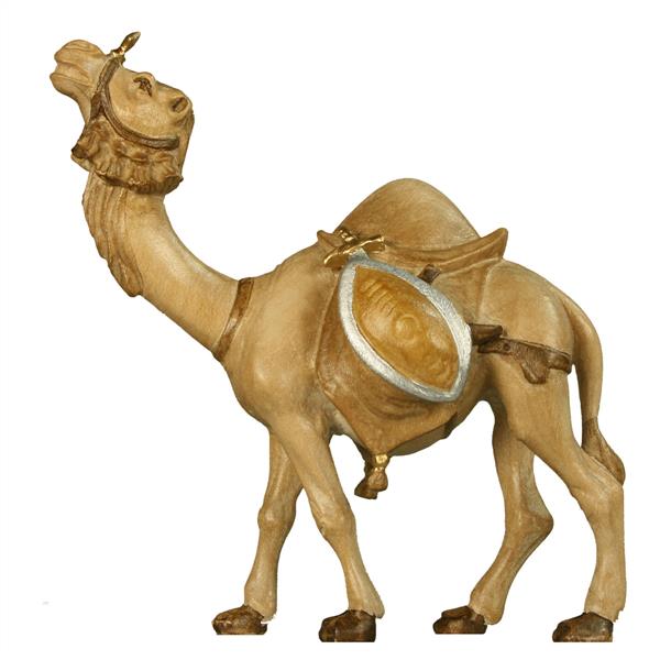 Kamel mit Gepäck Kamel mit Gepäck