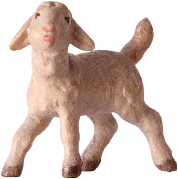 Lamm rechts Lamm rechts