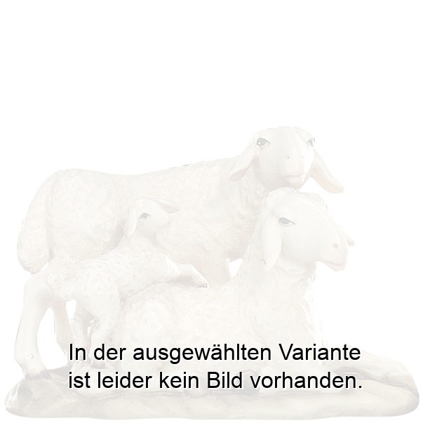 Schafgruppe mit Lamm