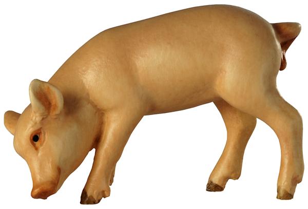 Ferkel Kopf unten