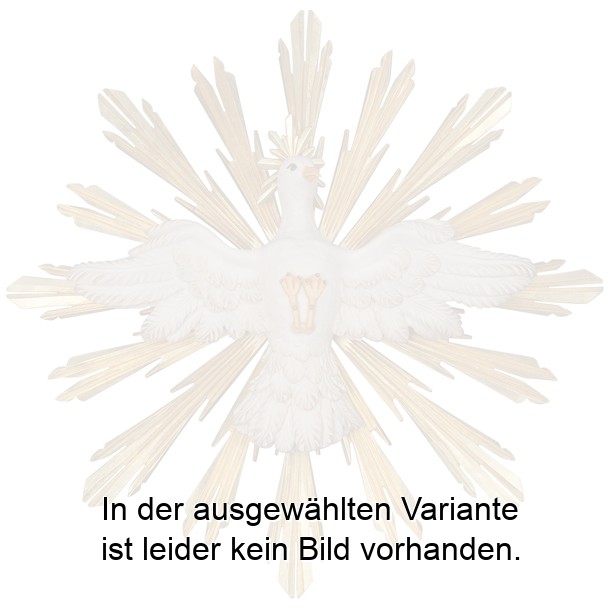 Hl. Geist mit Strahlenkranz Hl. Geist mit Strahlenkranz