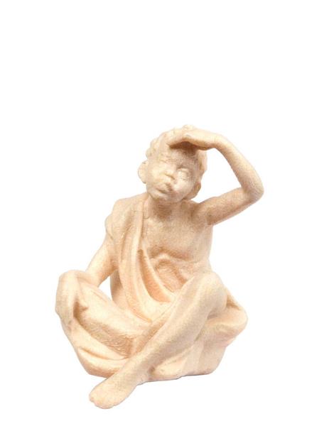 Elefantentreiber Elefantentreiber