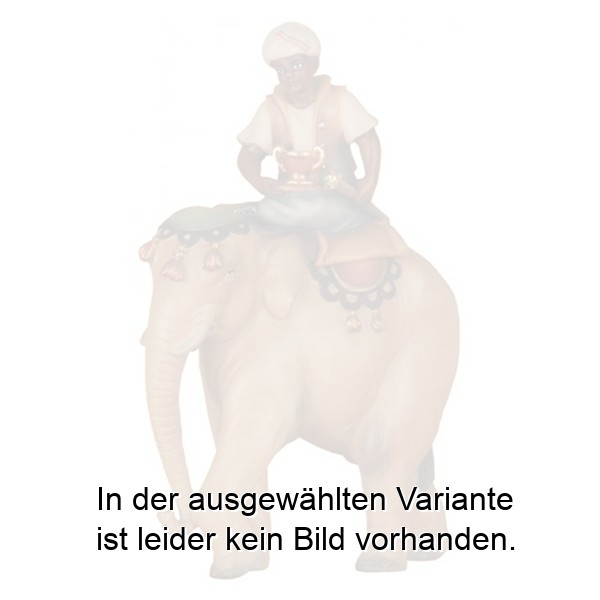 Elefant mit Reiter Elefant mit Reiter