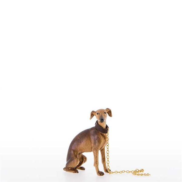 Sitzender Windhund Sitzender Windhund