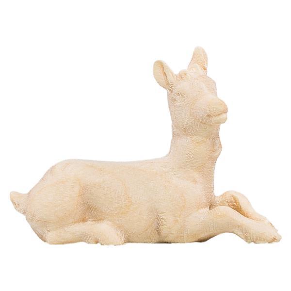 Ziegenkitz liegend Ziegenkitz liegend