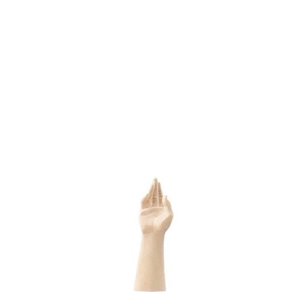 Hirt - rechte offene Hand Hirt - rechte offene Hand