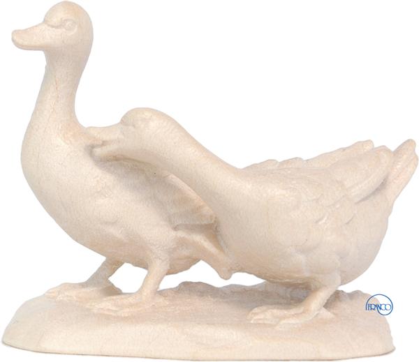 Gänsegruppe Gänsegruppe