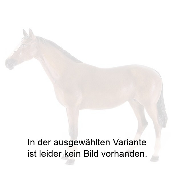 Pferd Pferd