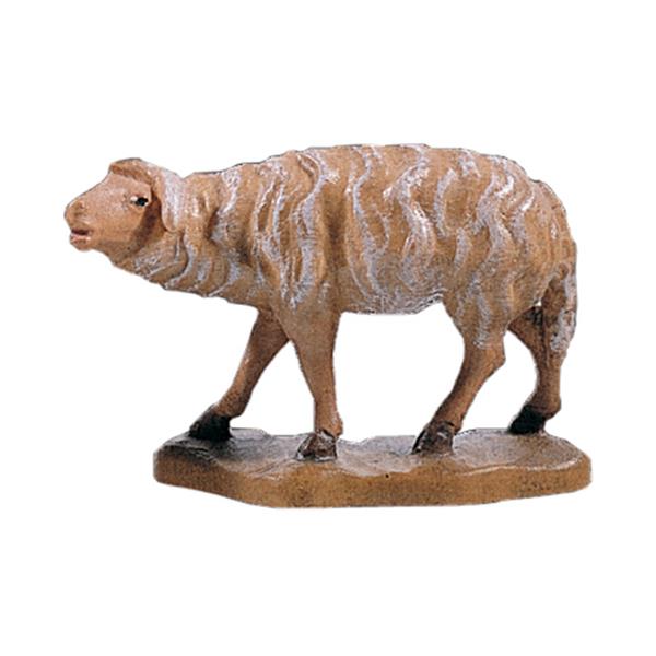 Schaf stehend Schaf stehend