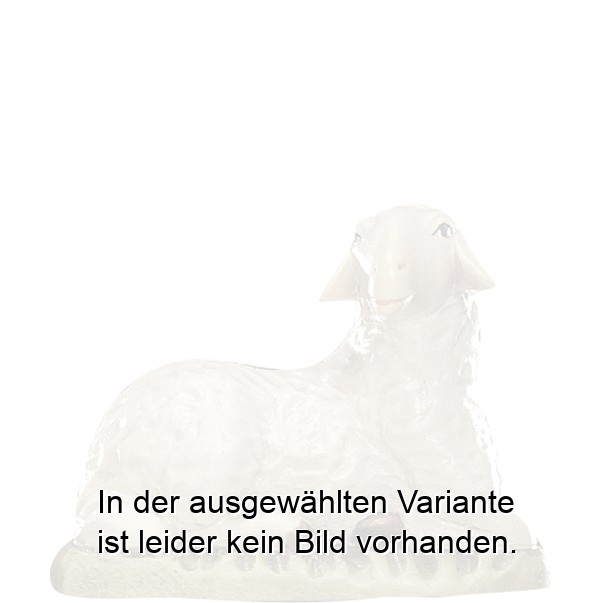 Schaf liegend