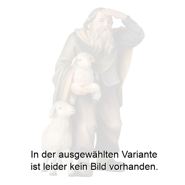 Hirt schauend