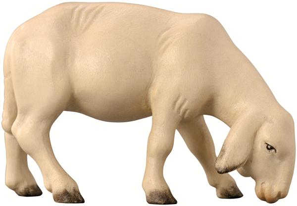 Schaf modern äsend Schaf modern äsend