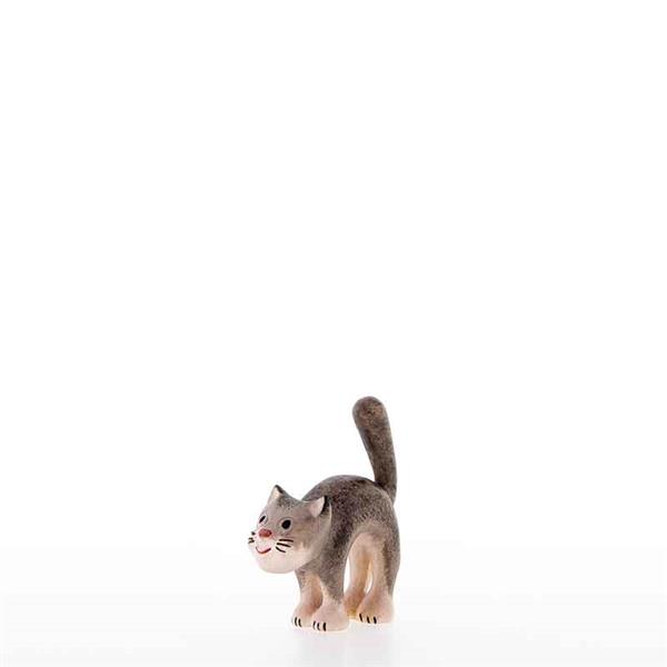 Katze