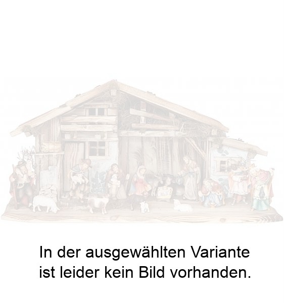 Weihnachtskrippe Seiser Alm mit 17 Betlehem Figuren Weihnachtskrippe Seiser Alm mit 17 Betlehem Figuren