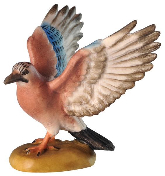 Eichelhäher Flügel offen Eichelhäher Flügel offen