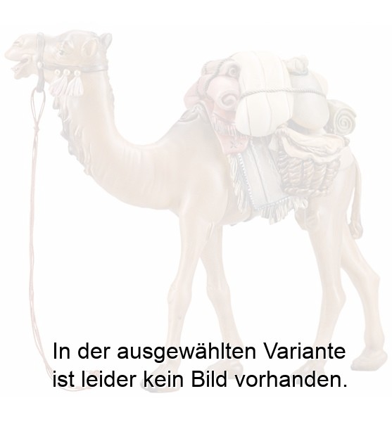 IN Kamel mit Gepäck IN Kamel mit Gepäck