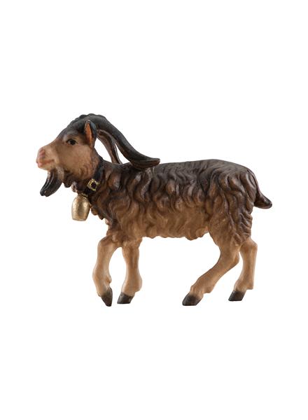 Ziegenbock Ziegenbock