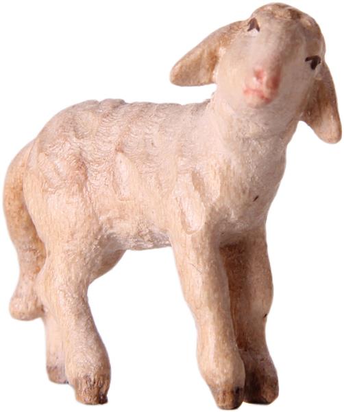 Lamm links Lamm links