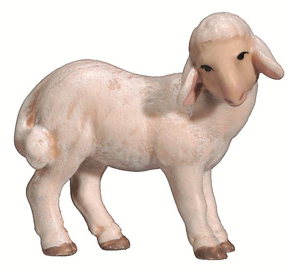 Lamm stehend Lamm stehend