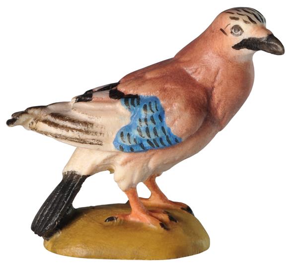 Eichelhäher sitzend Eichelhäher sitzend